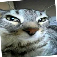 Friend PFP